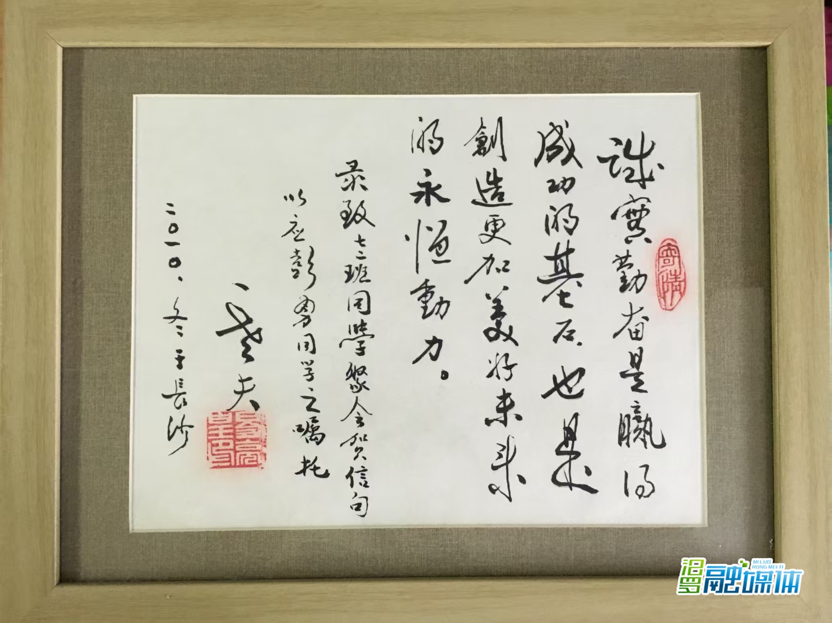 智库专家（四）丨从为枸杞正名到给粽子“开方”，药学家彭勇的别样乡愁