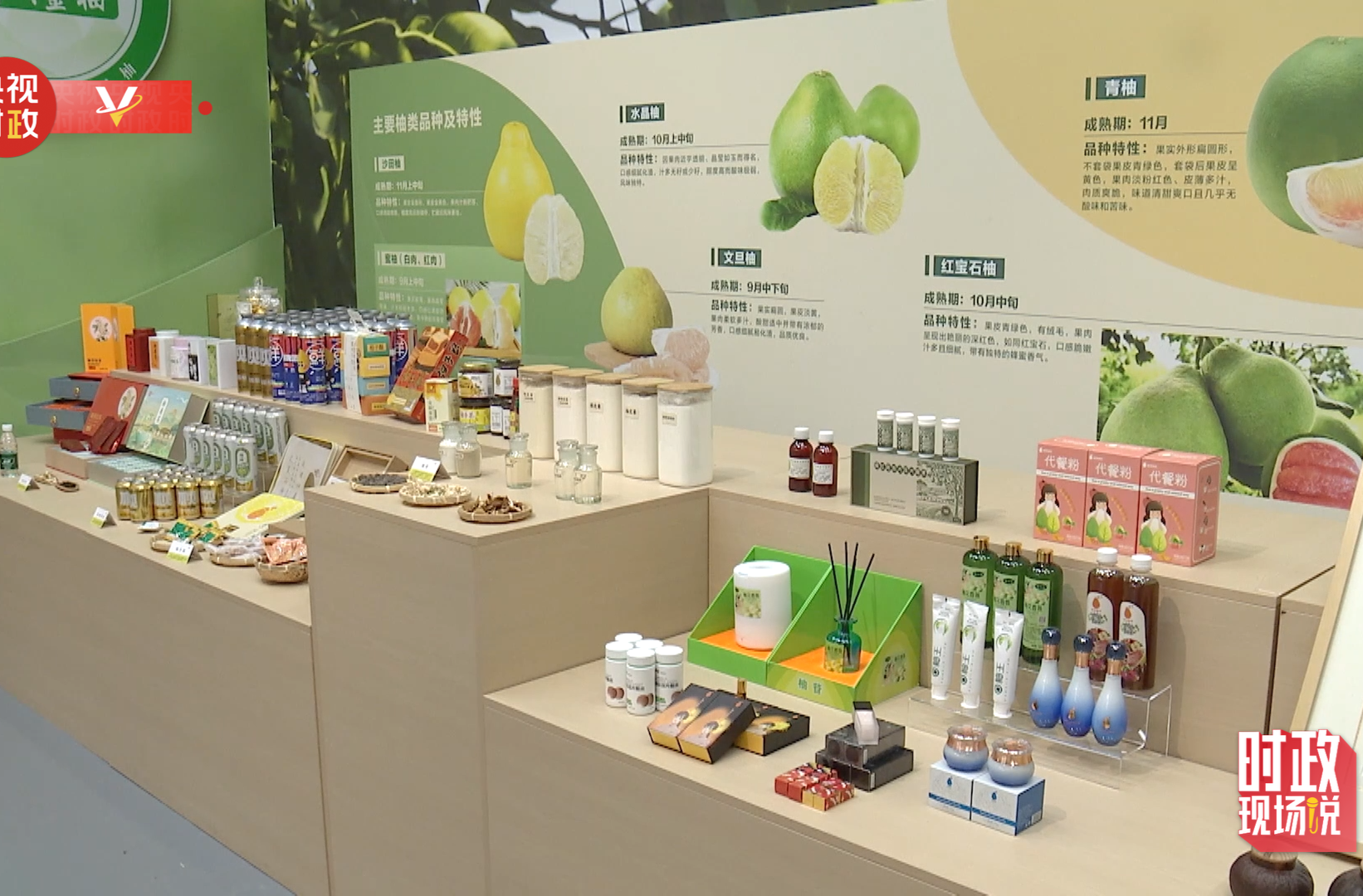时政现场说丨金柚满枝头 产业甜万家