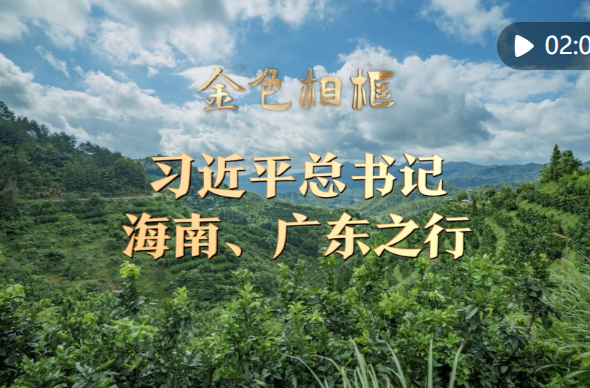 金色相框｜习近平总书记海南、广东之行