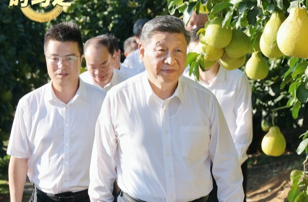 时习之丨“柚”见乡村好风光