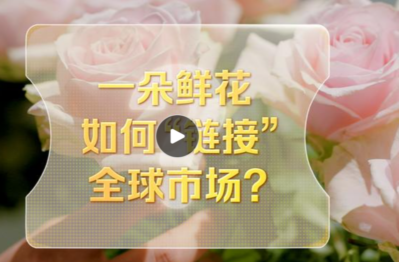 改革者 正青春｜一朵鲜花如何“链接”全球市场？