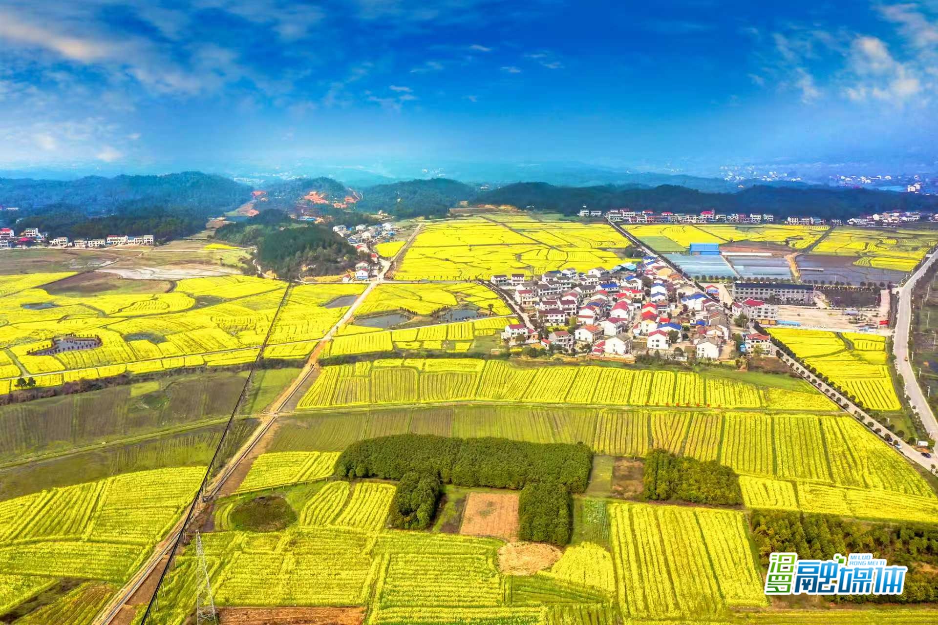 越生态越香甜！ 长乐镇的甜美“密码”这样酿