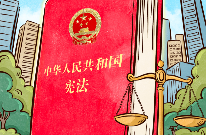 良法善治｜宪法的生命在于实施