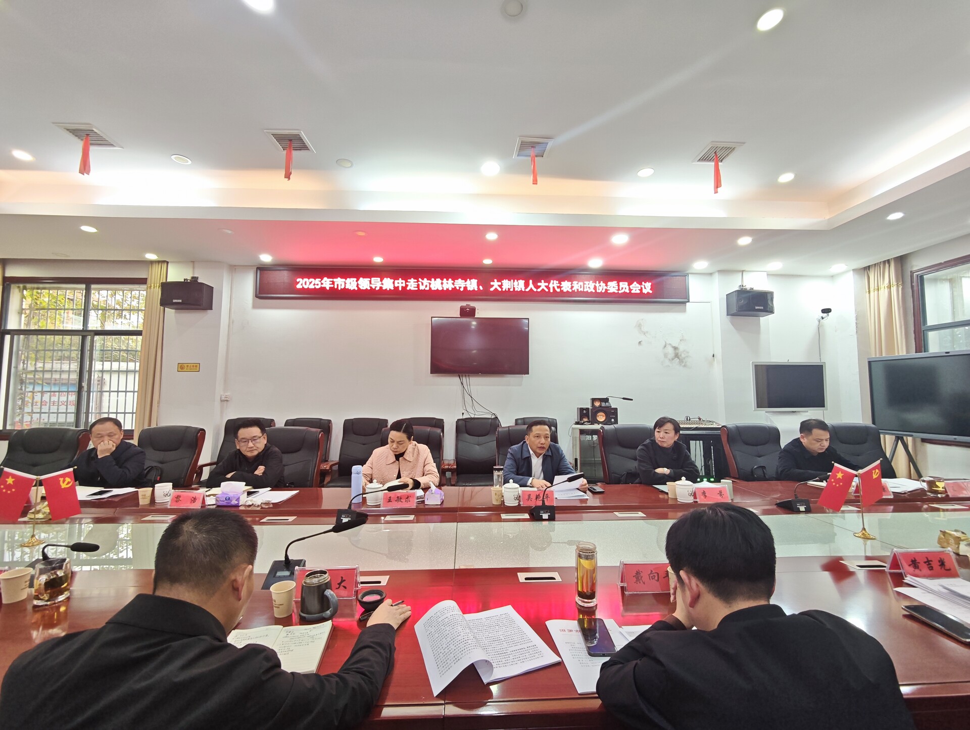 王敏求走访桃林寺镇、大荆镇人大代表和政协委员