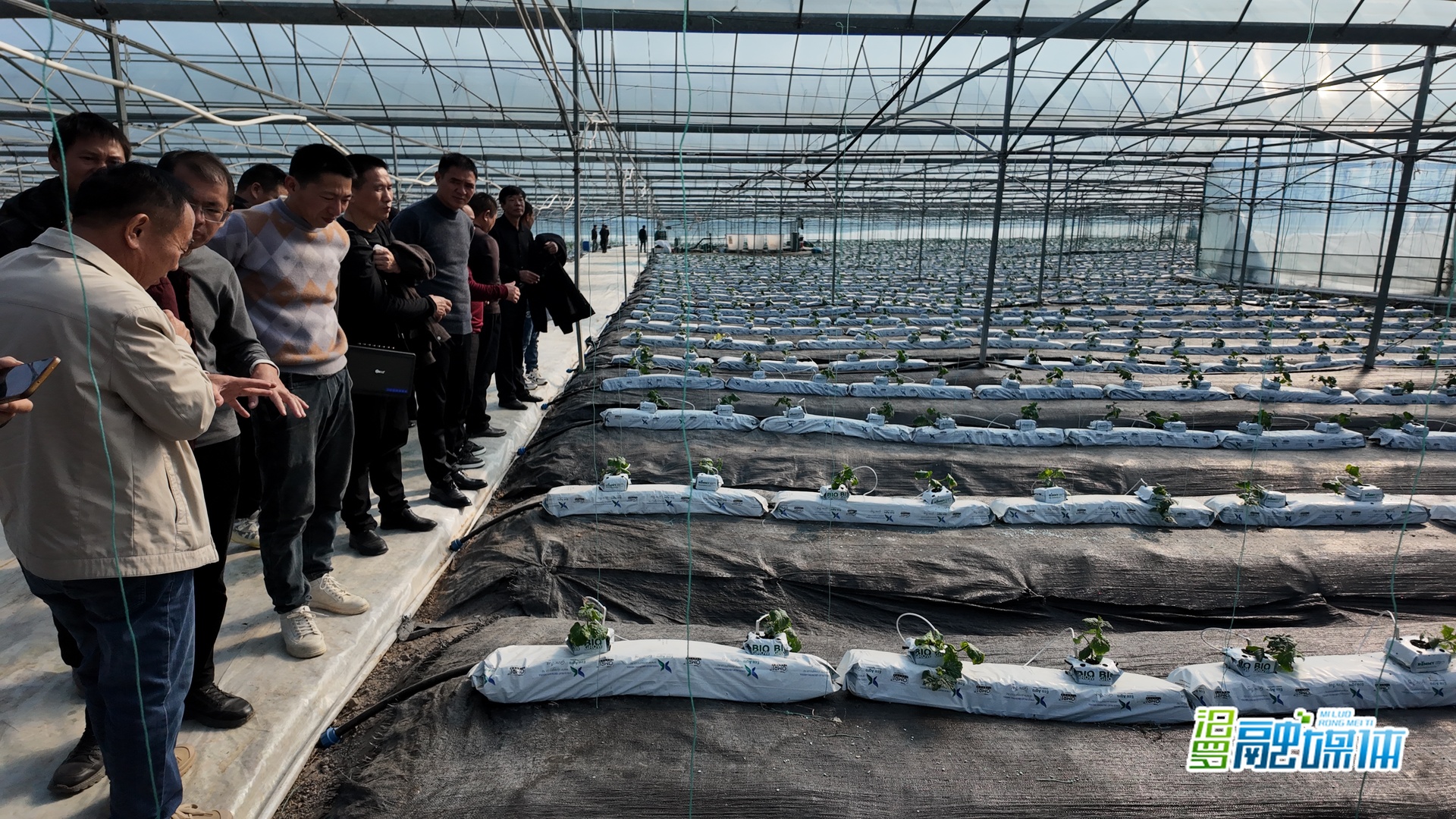 走出去，学回来！汨罗市设施蔬菜经营主体班赴外地“取经”