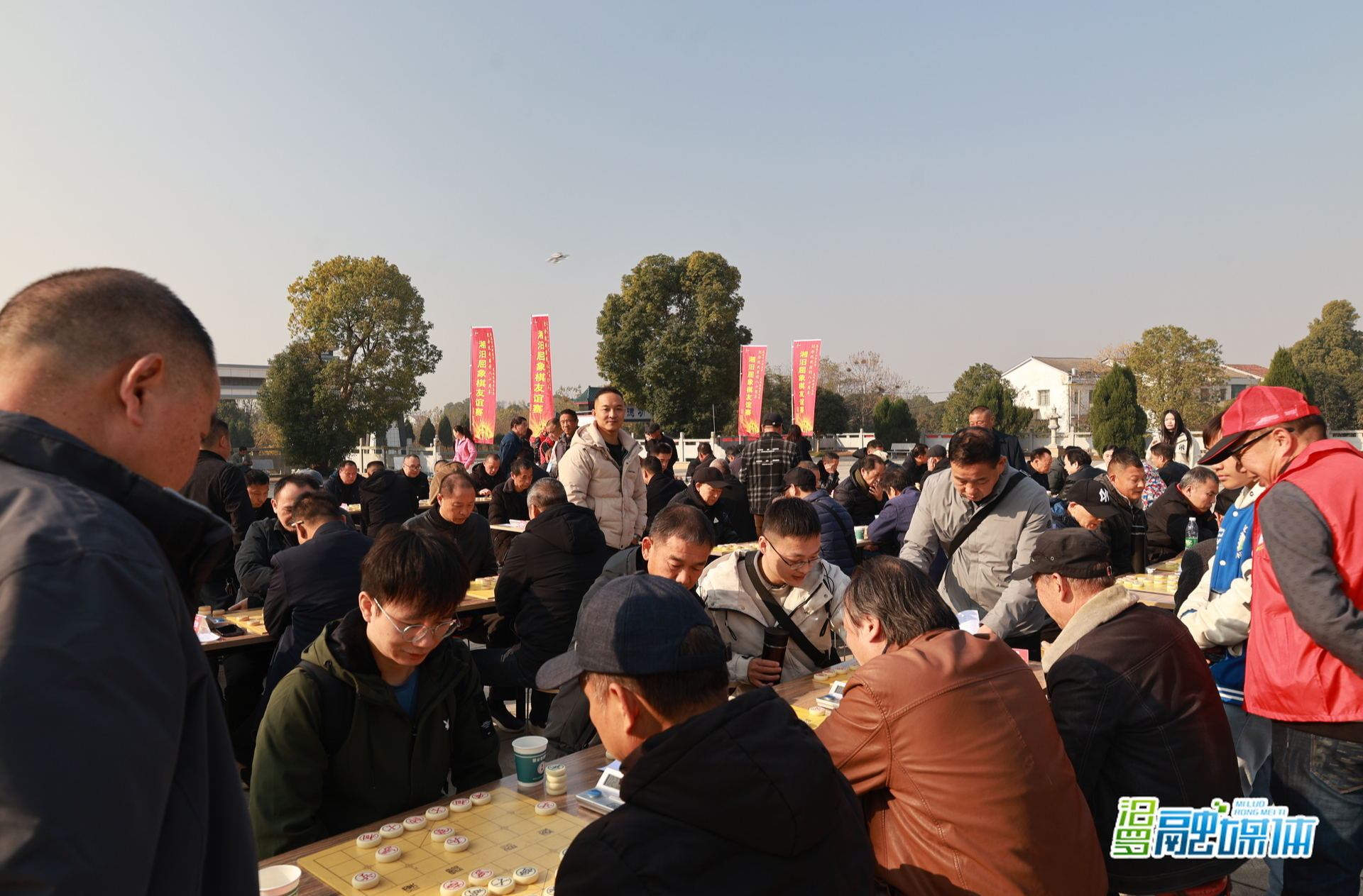 湘汨屈三地象棋友谊赛落幕 汨罗揽团体与个人双冠