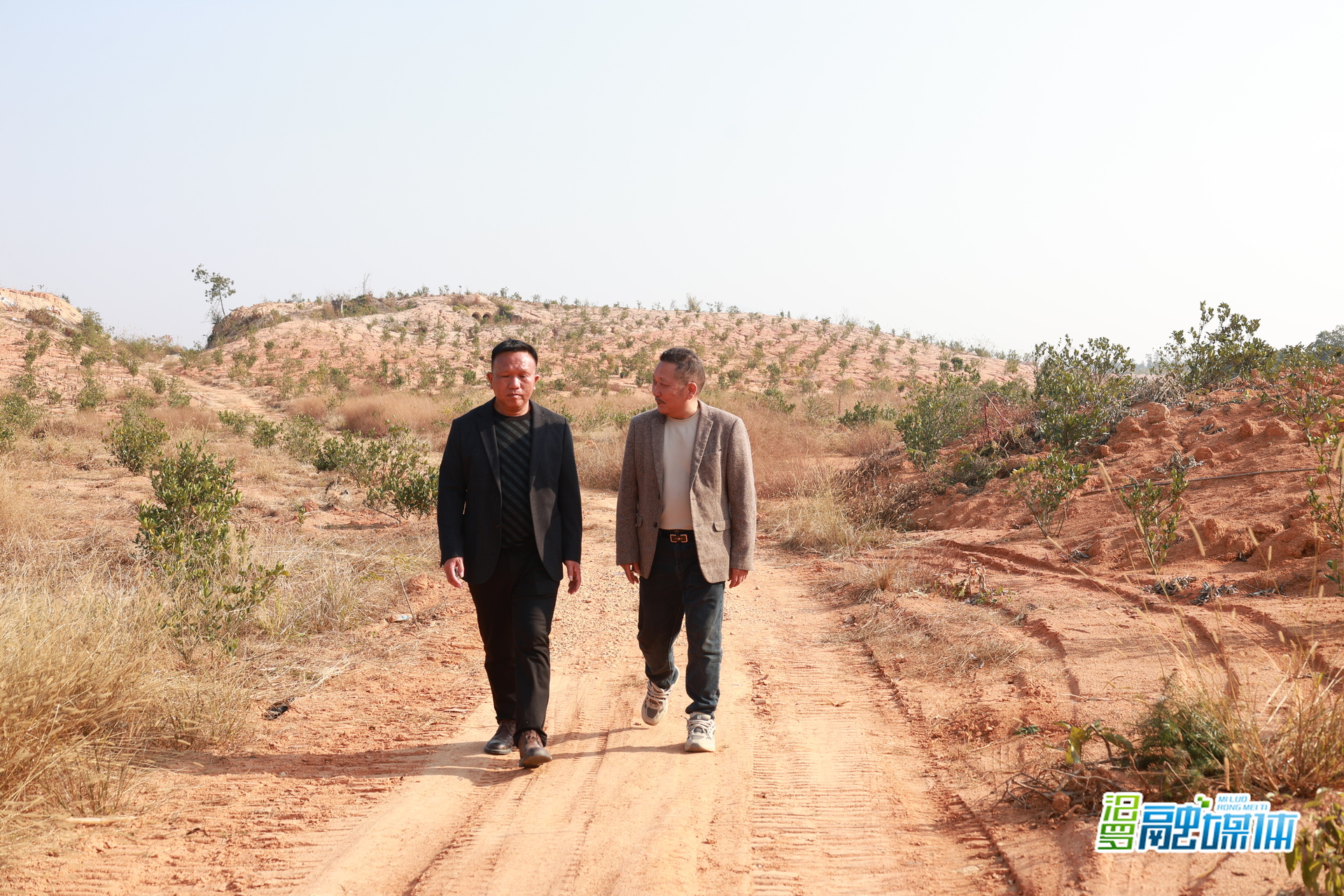 优秀人大代表丨胡雁文：乡村发展的“领头雁”