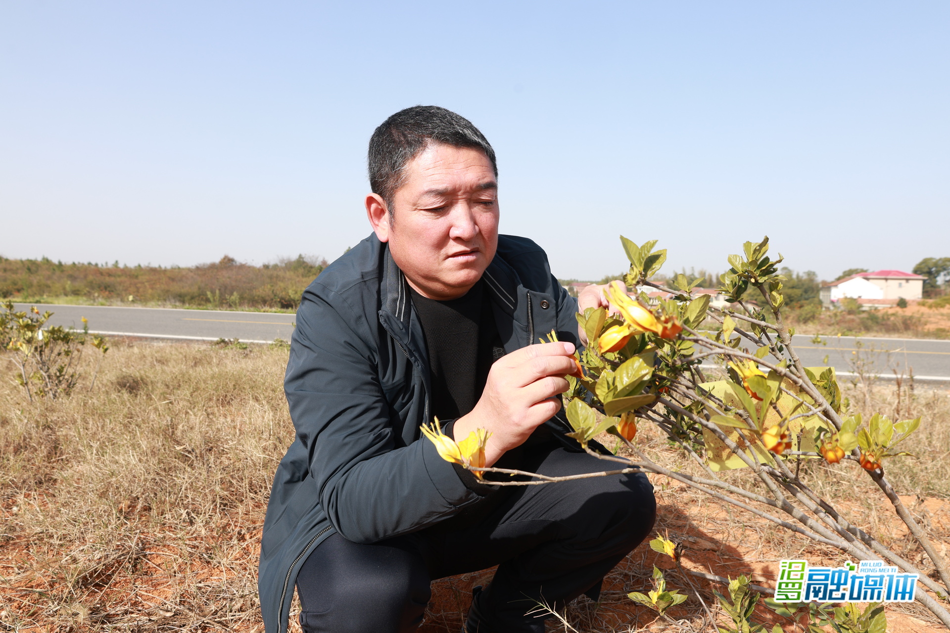 优秀人大代表丨郭重辉：盘活荒山林地，种下致富金果