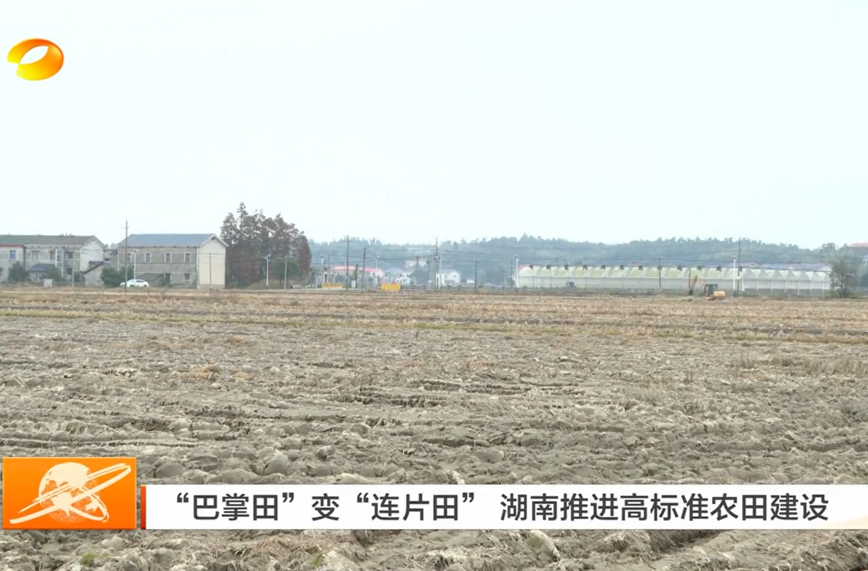 【湖南卫视】“巴掌田”变“连片田” 湖南推进高标准农田建设