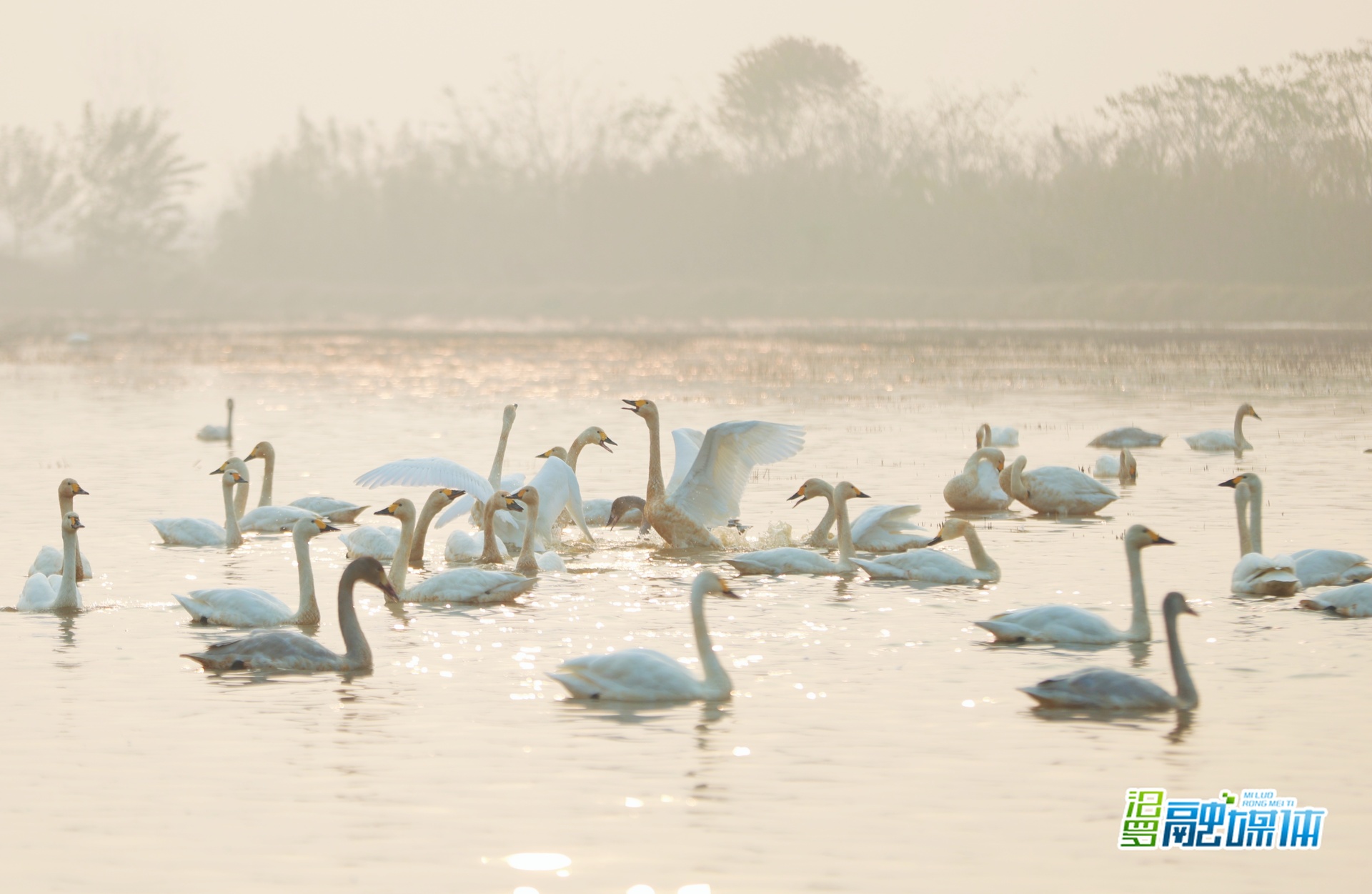 “江湖四宝”掀起岳阳冬季旅游热 四级媒体人亲身感受湘北生态画卷