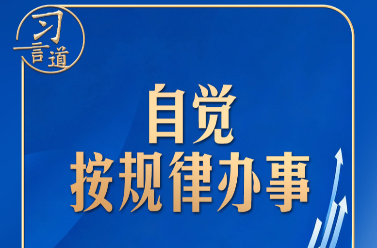 习言道丨中央这个提法，大有深意