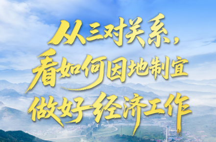 壹视界·任平文章解读｜从三对关系，看如何因地制宜做好经济工作