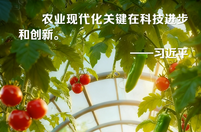 向新而行｜操其要于上，而分其详于下