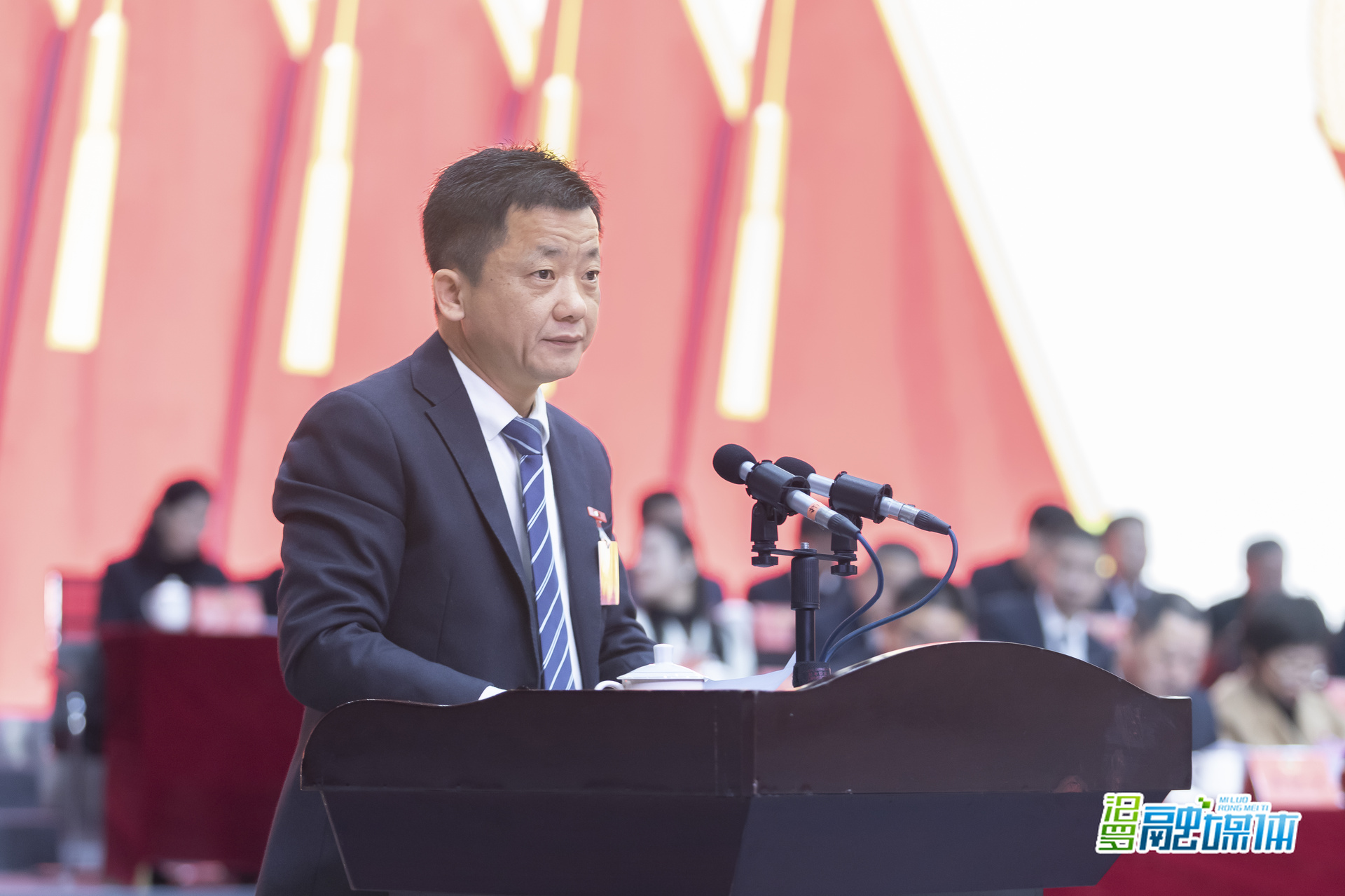 聚焦两会丨胥亮作提案工作情况报告