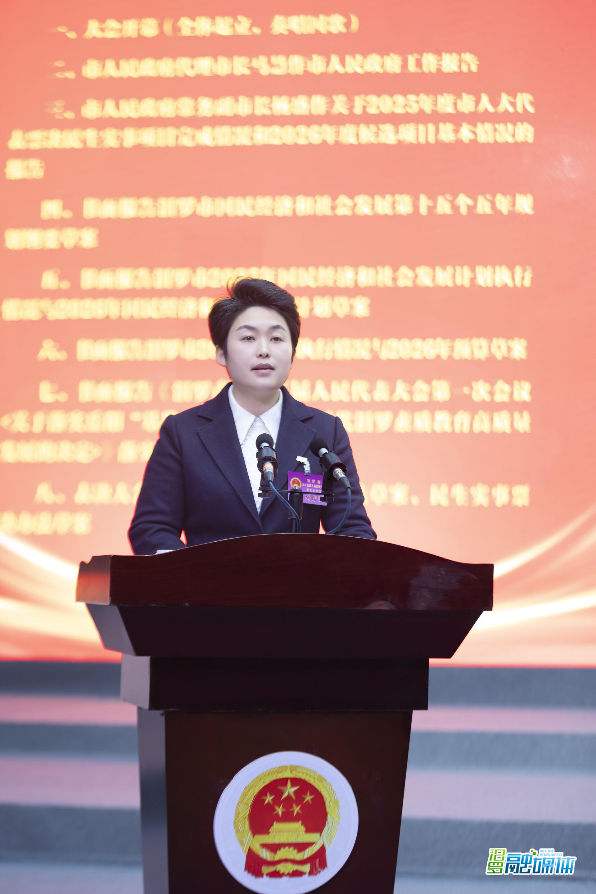 聚焦两会 | 马慧作政府工作报告