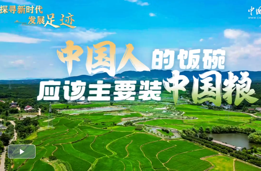 探寻新时代发展足迹｜中国人的饭碗应该主要装中国粮
