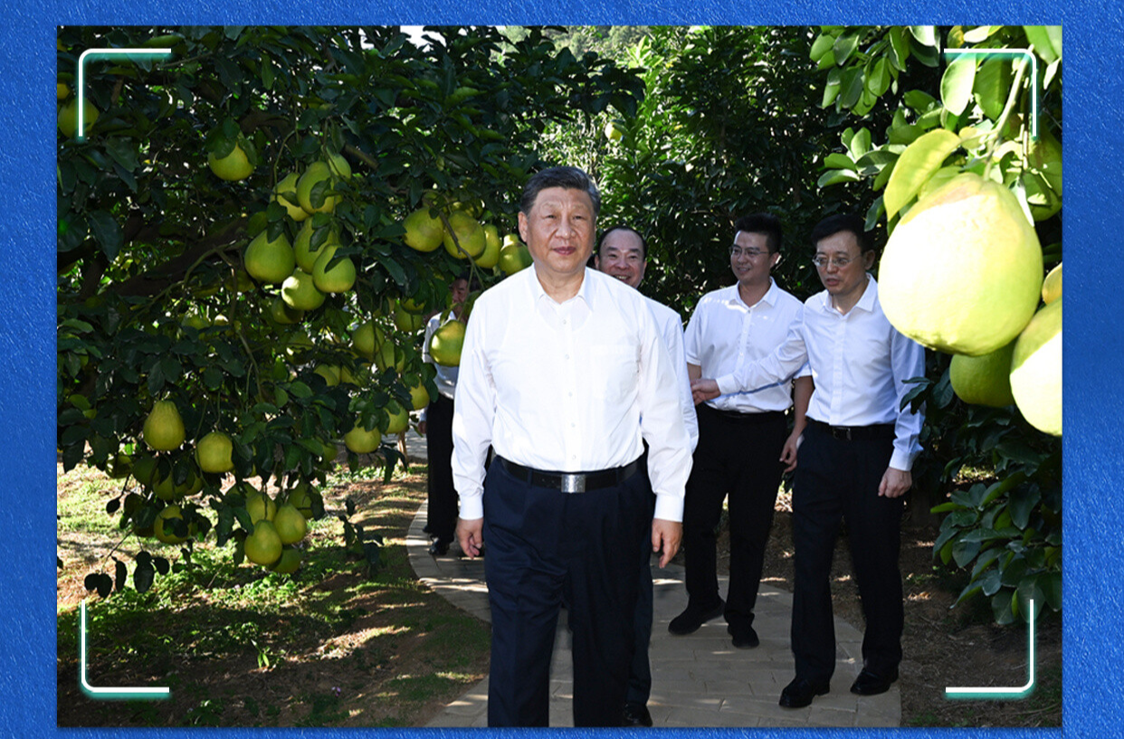 看图学习·回眸2025丨“发展有不平衡的地方” 总书记一直惦念在心