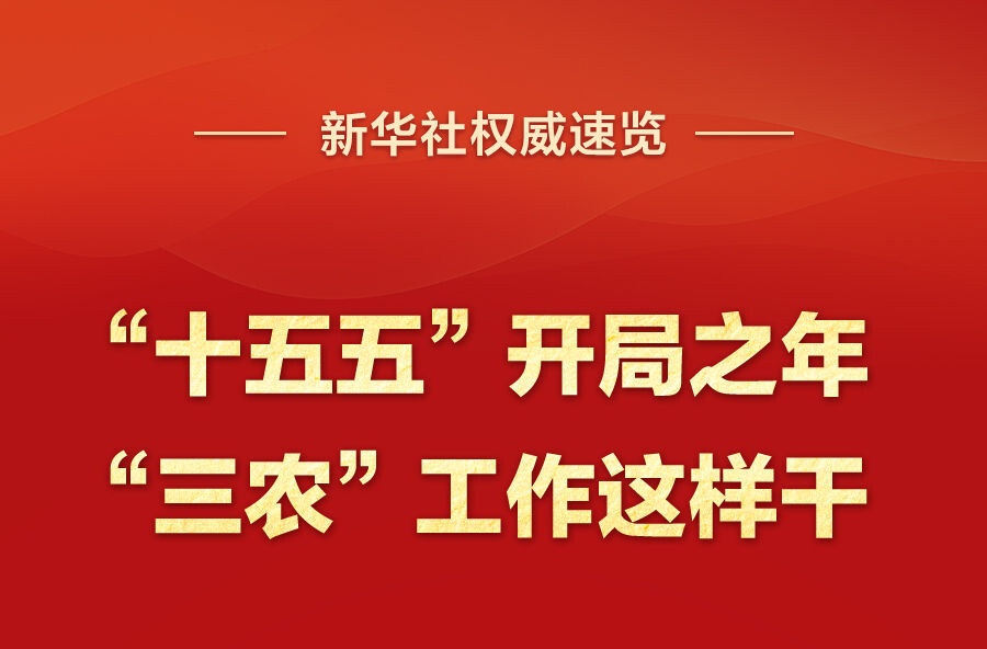 新华社权威速览｜“十五五”开局之年，“三农”工作这样干！