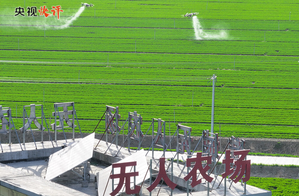 【央视快评】锚定农业农村现代化 扎实推进乡村全面振兴 推动城乡融合发展