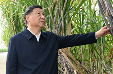 拾光纪·“每到一个地方，我都要看看乡村”