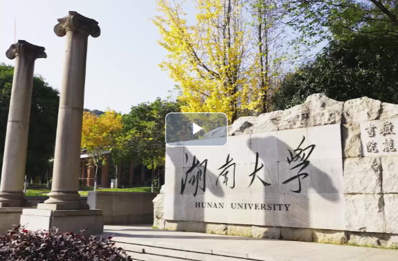 “驭风者”陈政清：风未止，人未歇