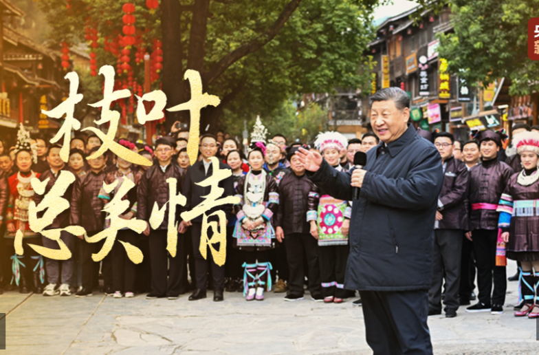 时政微视频丨枝叶总关情