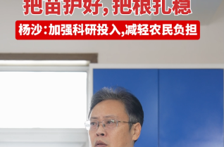 担当奉献守粮安——记“全省担当作为优秀干部”杨沙