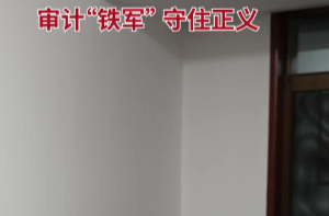 审计“铁军” 守住正义——记“全省担当作为优秀干部”徐乐