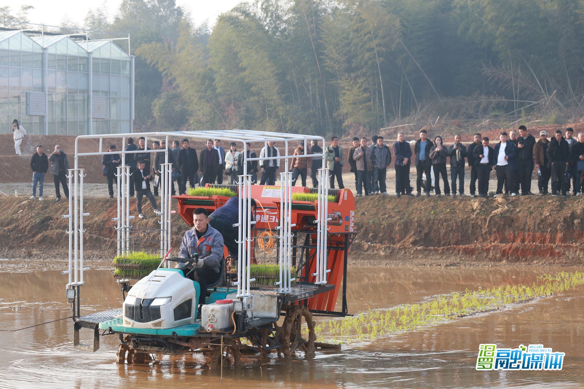 2026年全省水稻机抛秧技术培训班在汨罗开班