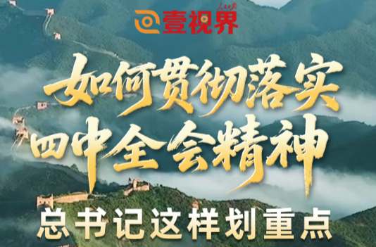 壹视界·微视频丨如何贯彻落实四中全会精神？总书记这样划重点