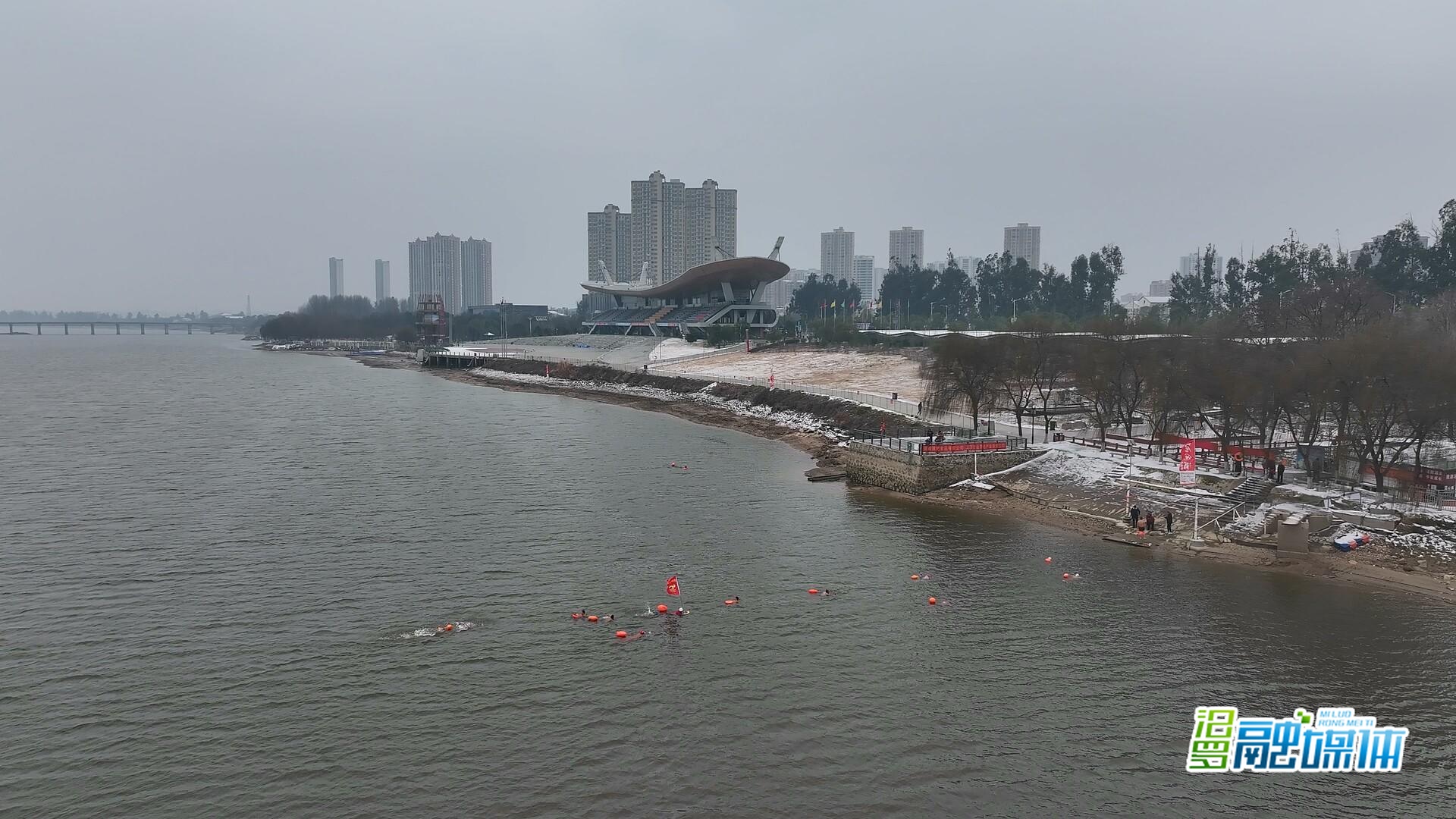 -3℃的冰寒挑战！汨罗冬泳爱好者的“速度与激情”