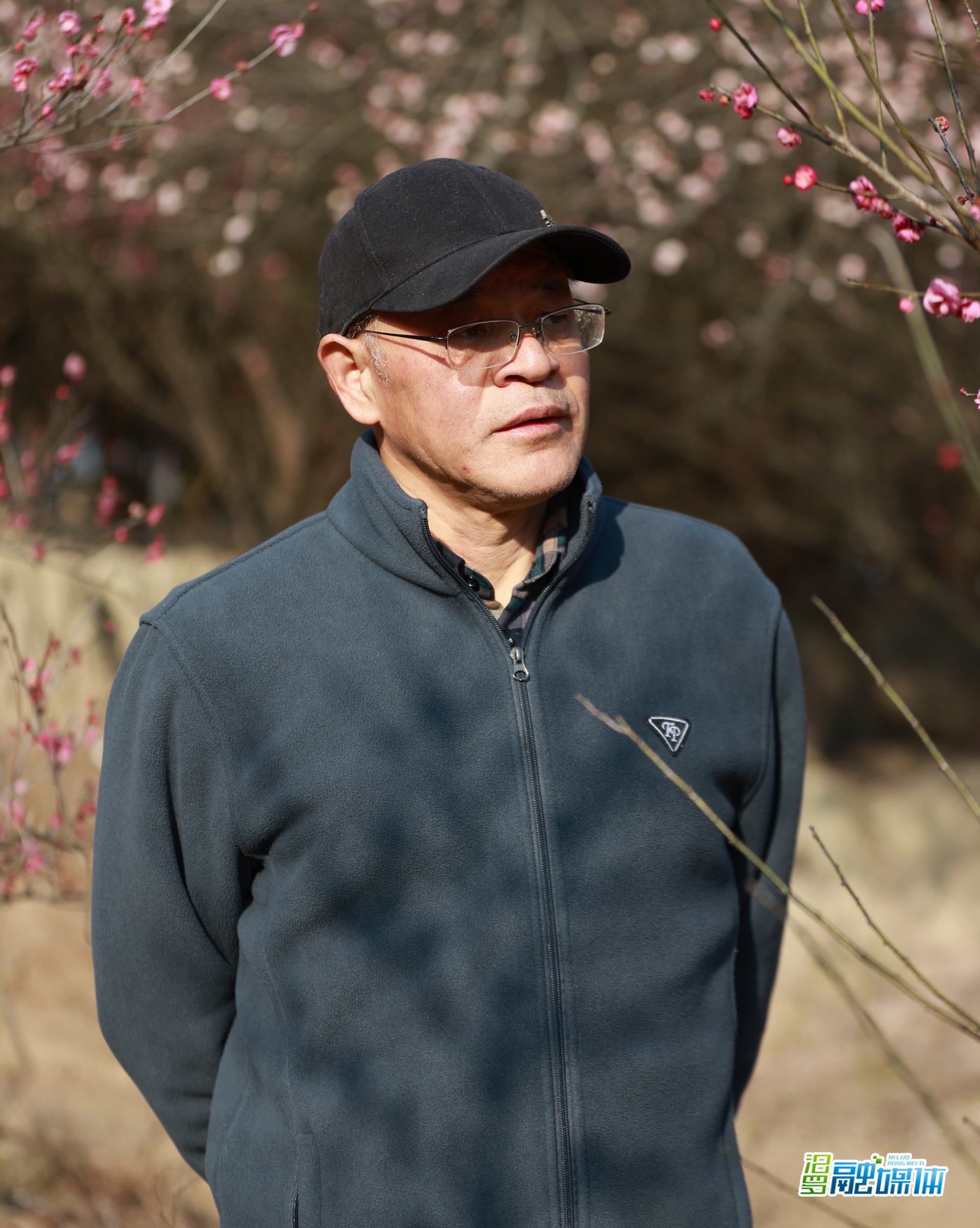 智库专家（七） | “梅林主人”龙岳林的乡村振兴梦