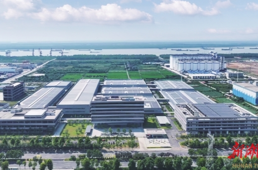 向新而行·湖南经济新动能丨岳阳：引来大企业 培育增长极
