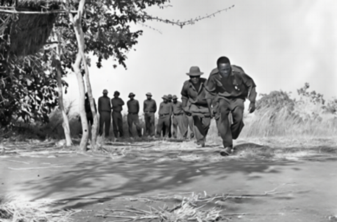 走过峥嵘岁月 共赴现代化新征程——习近平主席复信津巴布韦老战士寄语中非友好续写新篇