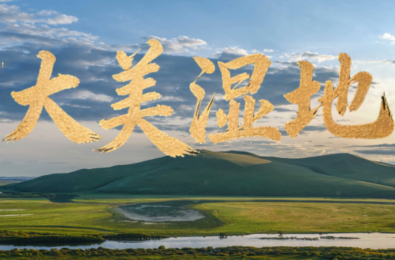 时政微视频丨大美湿地