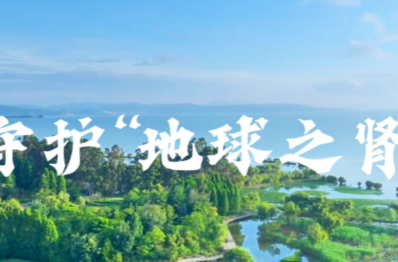 微视频 | 守护“地球之肾”