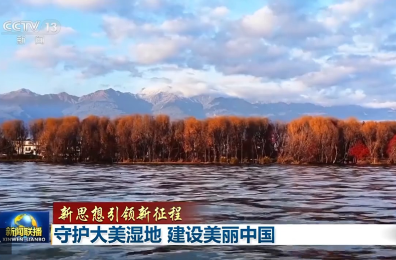 新思想引领新征程丨守护大美湿地 建设美丽中国