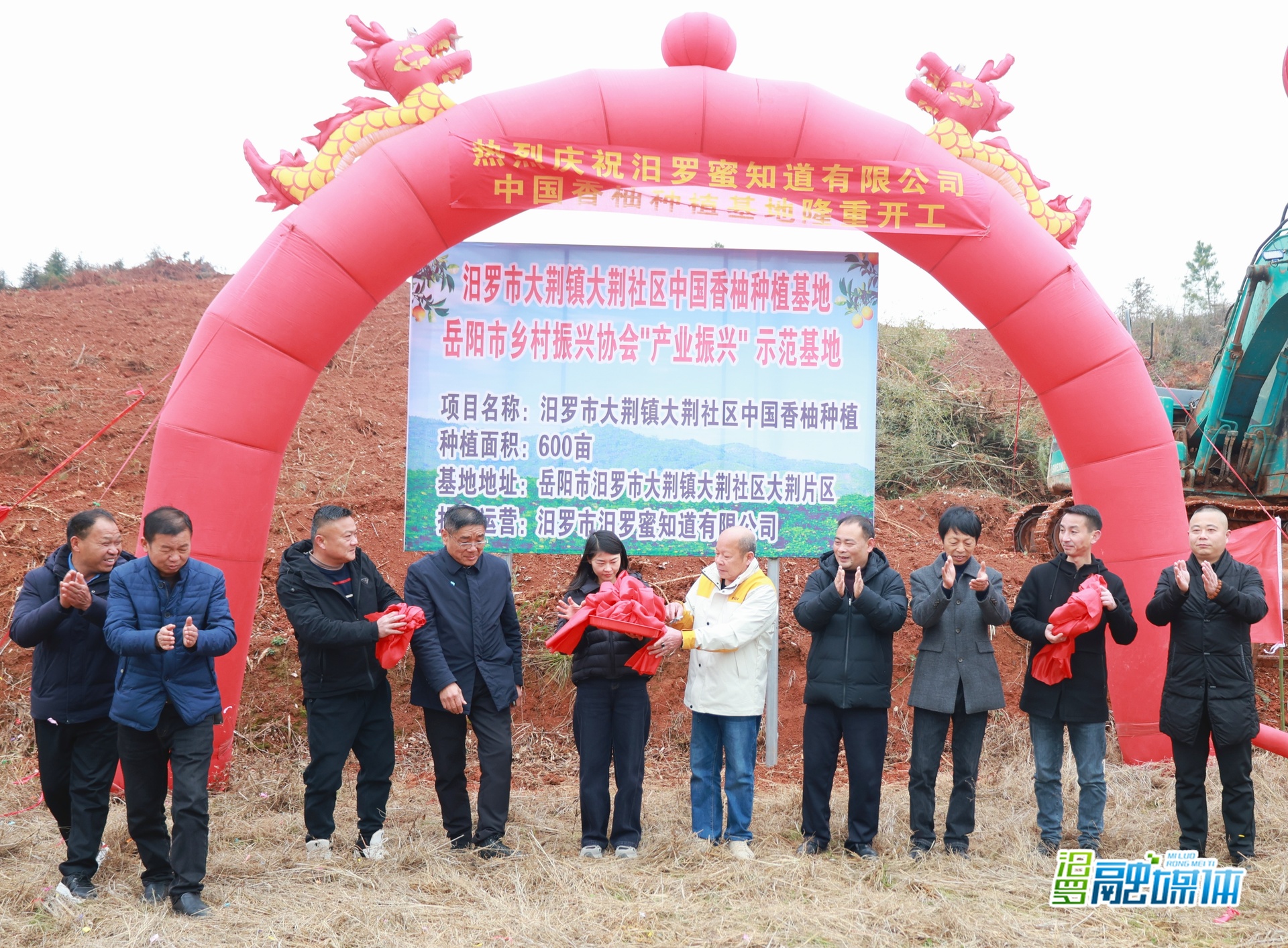 从广西到湖南，香柚产业为何选中汨罗大荆这片山？