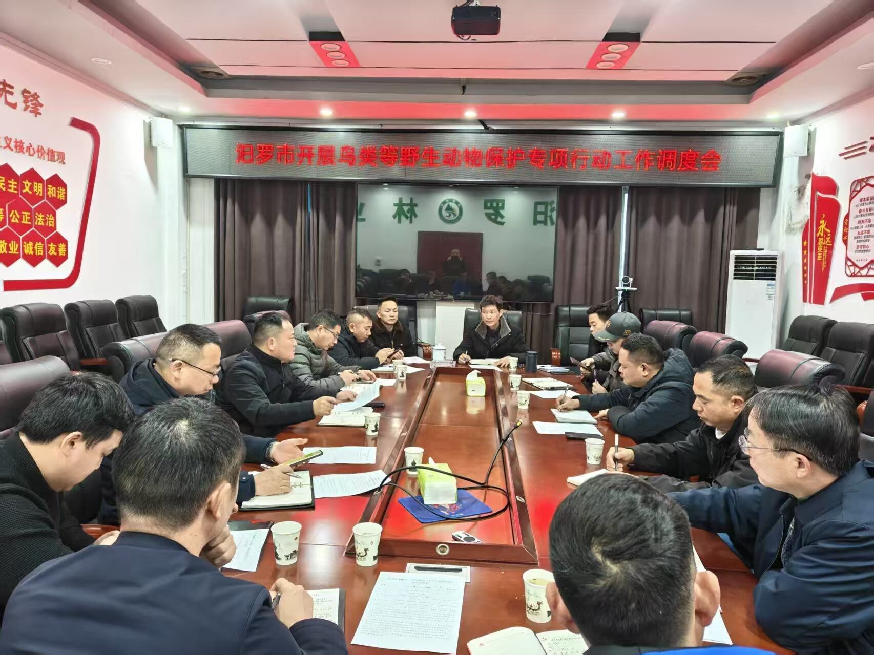 汨罗市部署鸟类等野生动物保护专项行动