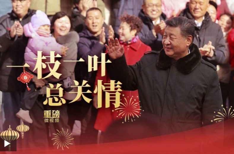 重磅微视频丨一枝一叶总关情