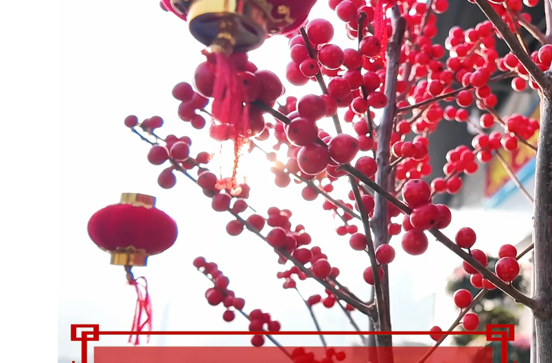 时习之丨“我最大的心愿，就是大家都能欢欢喜喜过好年”