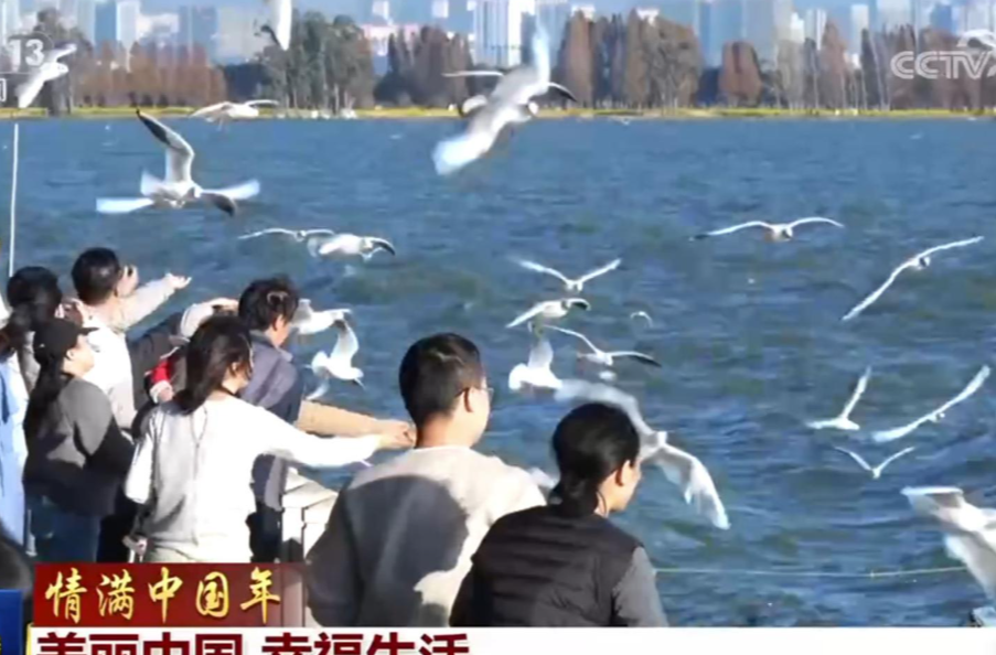 【情满中国年】美丽中国 幸福生活