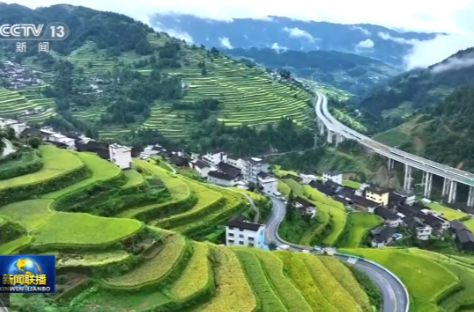 新思想引领新征程·非凡“十四五”丨“四好农村路”赋能城乡融合 助力乡村全面振兴