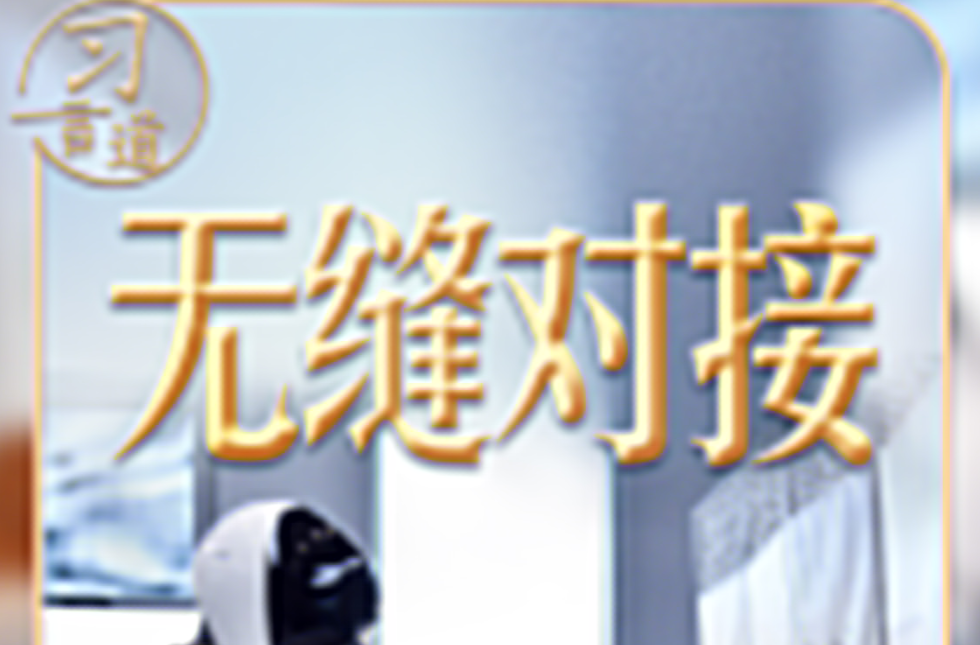 习近平的两会之喻｜从“两张皮”到“无缝对接”