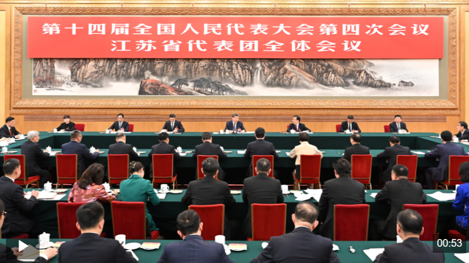 独家视频丨习近平参加江苏代表团审议