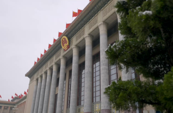 时政两会说丨探新路解新题 经济大省勇挑大梁——总书记同全国人大代表共商国是