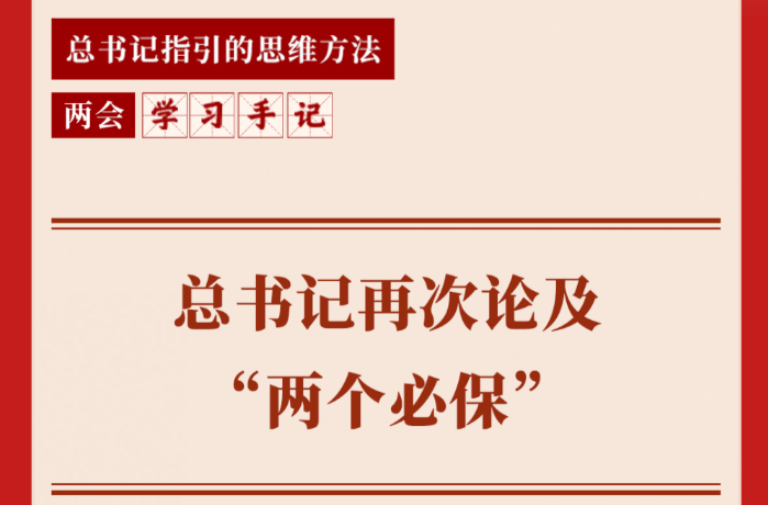 两会学习手记｜总书记再次论及“两个必保”