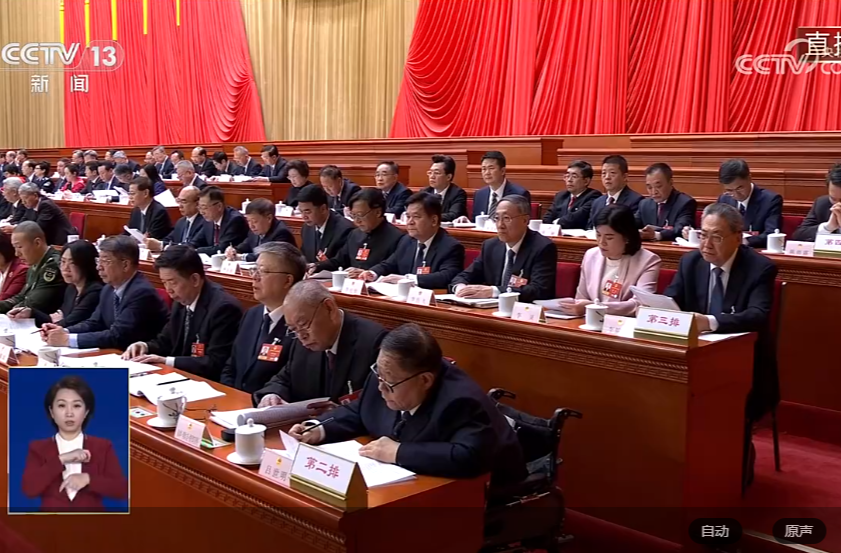 十四届全国人大四次会议第二次全体会议