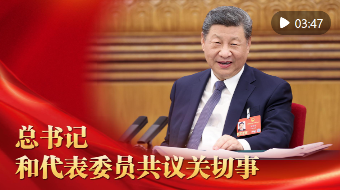微视频｜总书记和代表委员共议关切事