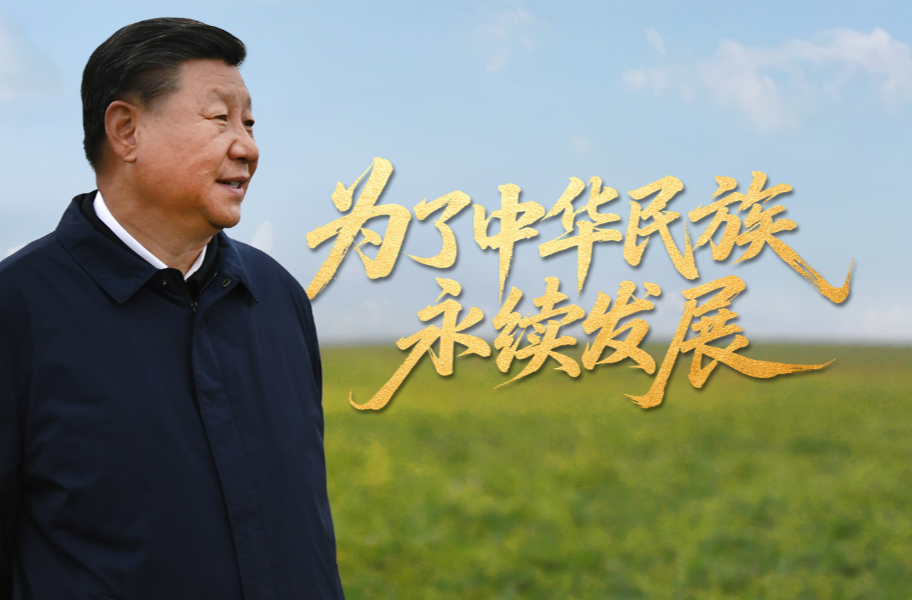 为了中华民族永续发展